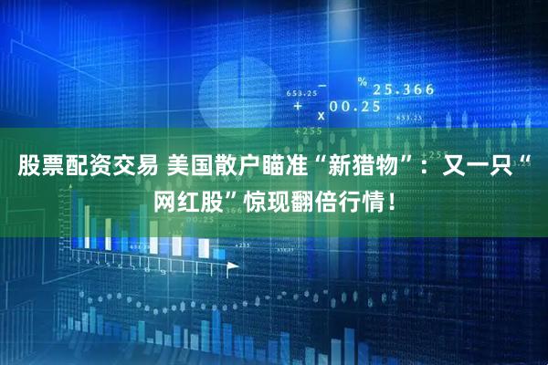 股票配资交易 美国散户瞄准“新猎物”：又一只“网红股”惊现翻倍行情！